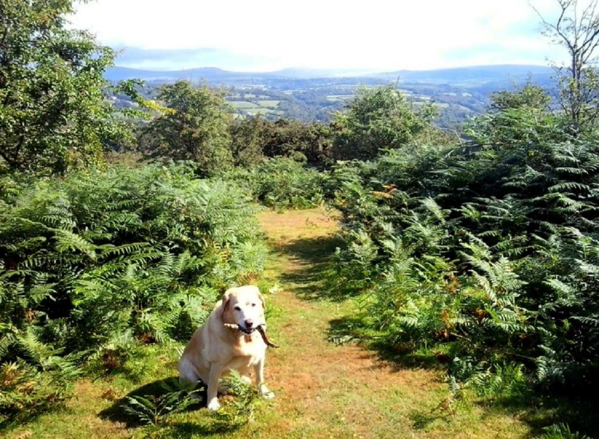 Heathergate Cottage Dartmoor Bnb Lydford Εξωτερικό φωτογραφία